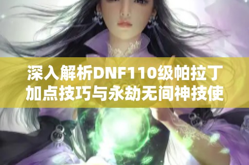 深入解析DNF110级帕拉丁加点技巧与永劫无间神技使用攻略 深入解析DNF110级帕拉丁加点技巧与永劫无间神技使用攻略
