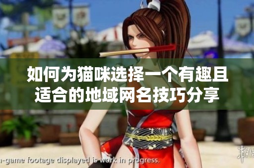 如何为猫咪选择一个有趣且适合的地域网名技巧分享
