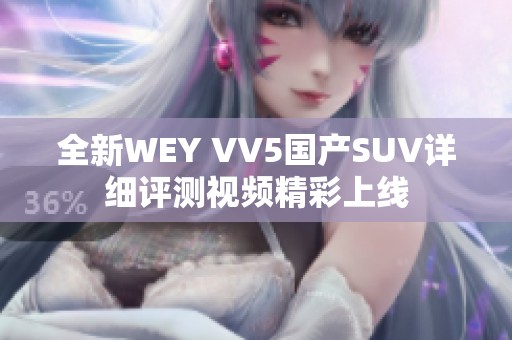 全新WEY VV5国产SUV详细评测视频精彩上线