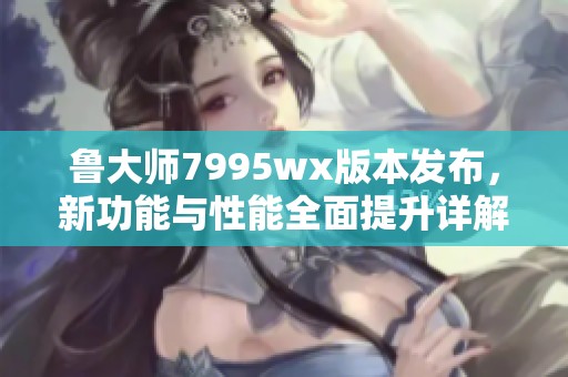 鲁大师7995wx版本发布，新功能与性能全面提升详解