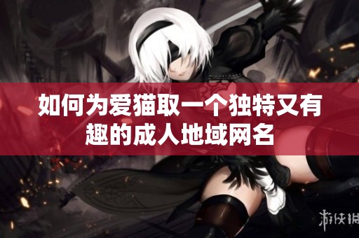 如何为爱猫取一个独特又有趣的成人地域网名