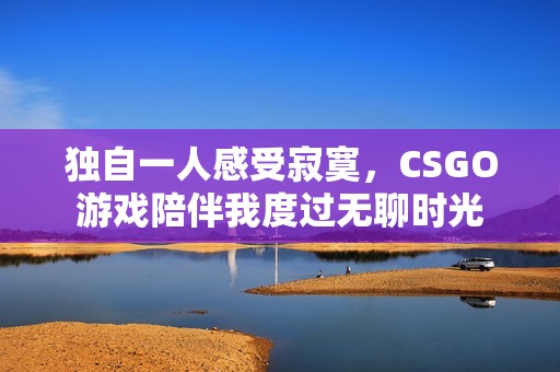独自一人感受寂寞，CSGO游戏陪伴我度过无聊时光
