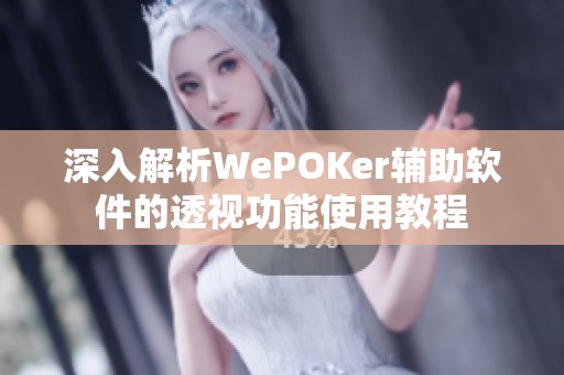 深入解析WePOKer辅助软件的透视功能使用教程