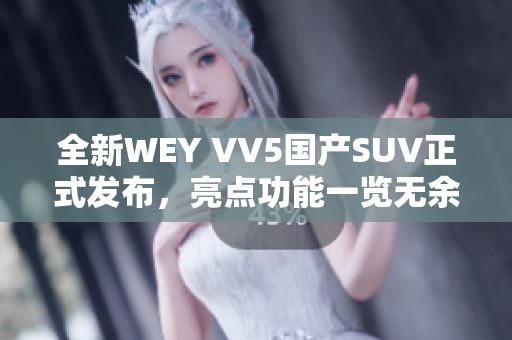 全新WEY VV5国产SUV正式发布，亮点功能一览无余