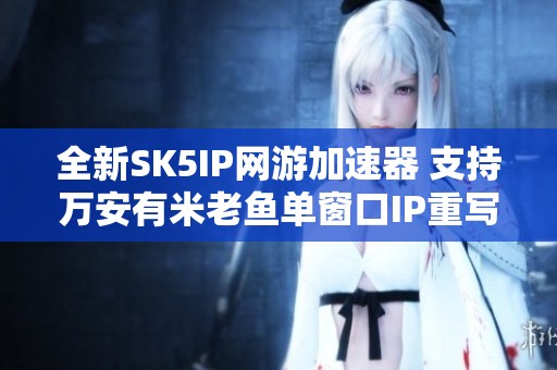 全新SK5IP网游加速器 支持万安有米老鱼单窗口IP重写