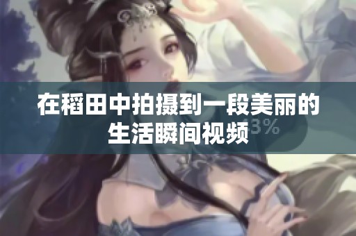 在稻田中拍摄到一段美丽的生活瞬间视频