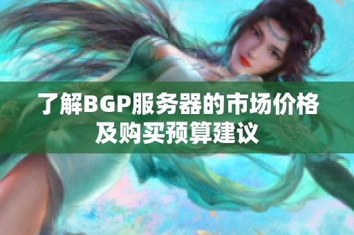 了解BGP服务器的市场价格及购买预算建议 了解BGP服务器的市场价格及购买预算建议