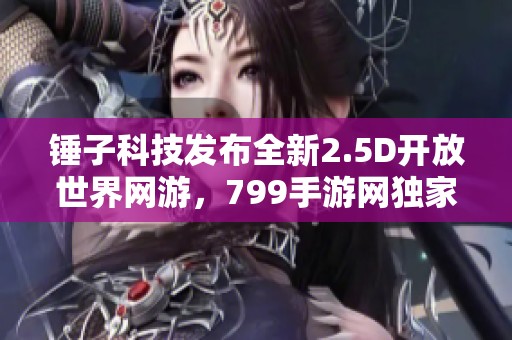 锤子科技发布全新2.5D开放世界网游，799手游网独家揭秘