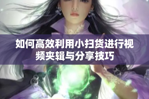 如何高效利用小扫货进行视频夹辑与分享技巧