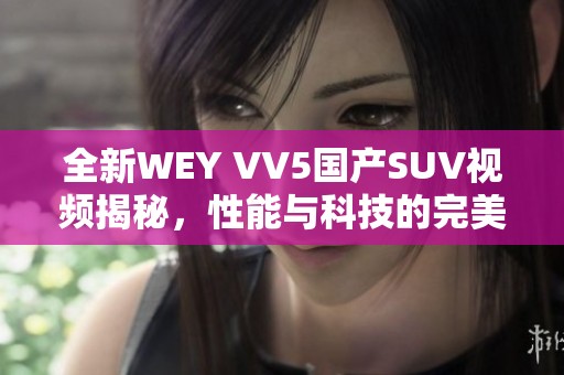 全新WEY VV5国产SUV视频揭秘，性能与科技的完美结合