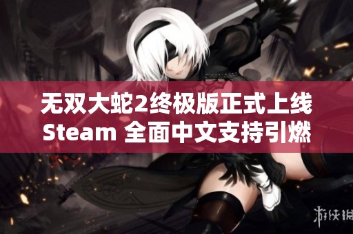 无双大蛇2终极版正式上线Steam 全面中文支持引燃玩家热情 无双大蛇2终极版正式上线Steam 全面中文支持引燃玩家热情