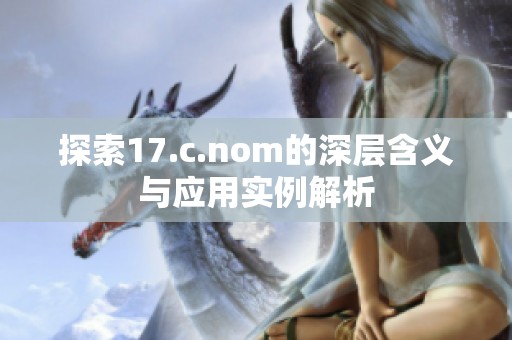 探索17.c.nom的深层含义与应用实例解析