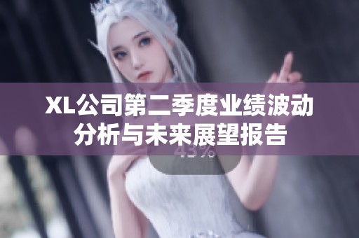 XL公司第二季度业绩波动分析与未来展望报告