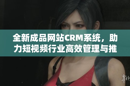 全新成品网站CRM系统，助力短视频行业高效管理与推广