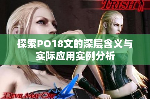 探索PO18文的深层含义与实际应用实例分析 探索PO18文的深层含义与实际应用实例分析