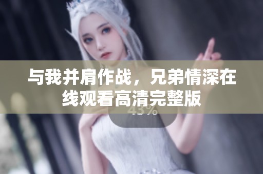 与我并肩作战，兄弟情深在线观看高清完整版