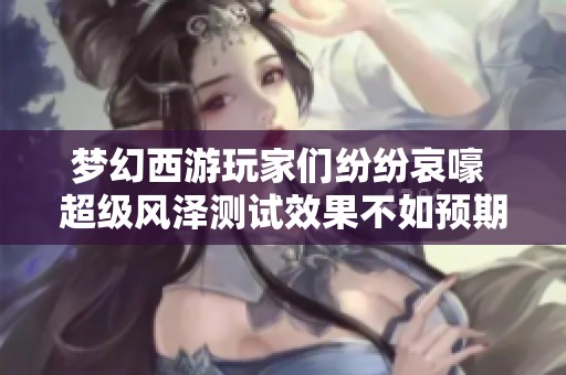 梦幻西游玩家们纷纷哀嚎 超级风泽测试效果不如预期导致严重亏损