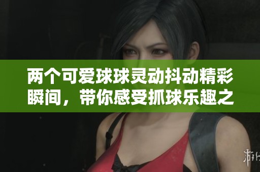 两个可爱球球灵动抖动精彩瞬间,带你感受抓球乐趣之旅 两个可爱球球灵动抖动精彩瞬间,带你感受抓球乐趣之旅