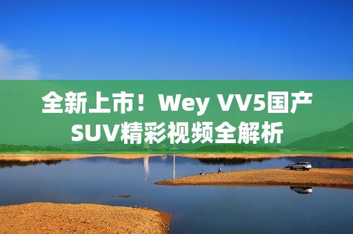全新上市！Wey VV5国产SUV精彩视频全解析