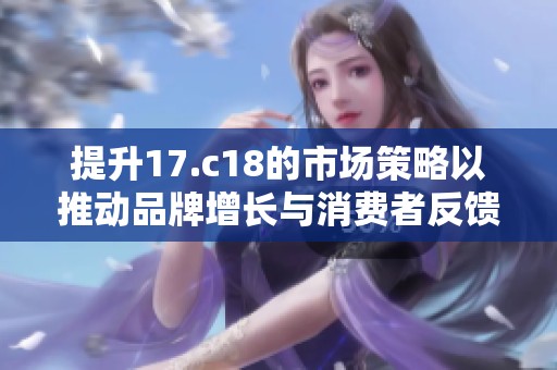 提升17.c18的市场策略以推动品牌增长与消费者反馈 提升17.c18的市场策略以推动品牌增长与消费者反馈