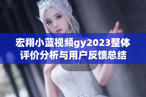 宏翔小蓝视频gy2023整体评价分析与用户反馈总结 宏翔小蓝视频gy2023整体评价分析与用户反馈总结
