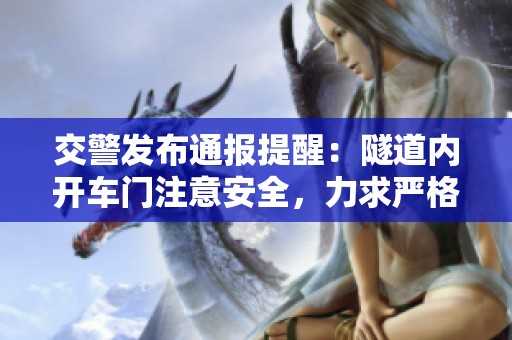 交警发布通报提醒:隧道内开车门注意安全,力求严格执行管理措施 交警发布通报提醒:隧道内开车门注意安全,力求严格执行管理措施
