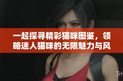 一起探寻精彩猫咪图鉴,领略迷人猫咪的无限魅力与风采 一起探寻精彩猫咪图鉴,领略迷人猫咪的无限魅力与风采