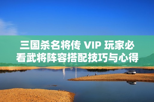 三国杀名将传 VIP 玩家必看武将阵容搭配技巧与心得分享 三国杀名将传 VIP 玩家必看武将阵容搭配技巧与心得分享
