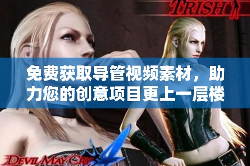 免费获取导管视频素材，助力您的创意项目更上一层楼