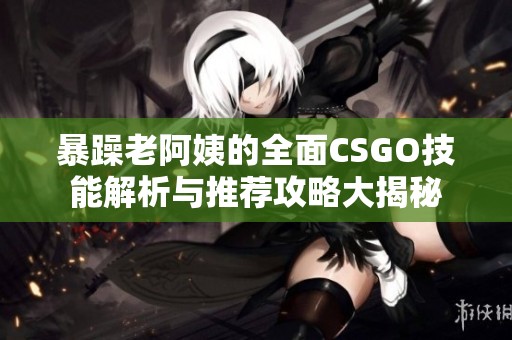 暴躁老阿姨的全面CSGO技能解析与推荐攻略大揭秘