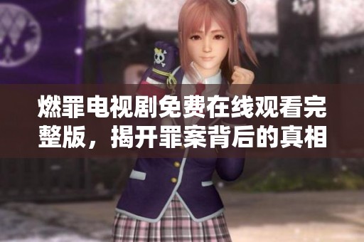 燃罪电视剧免费在线观看完整版，揭开罪案背后的真相与悬疑