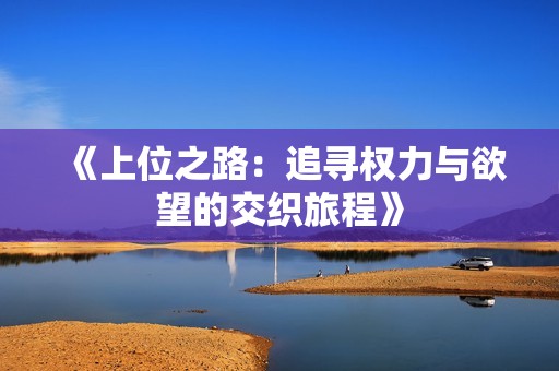 《上位之路：追寻权力与欲望的交织旅程》
